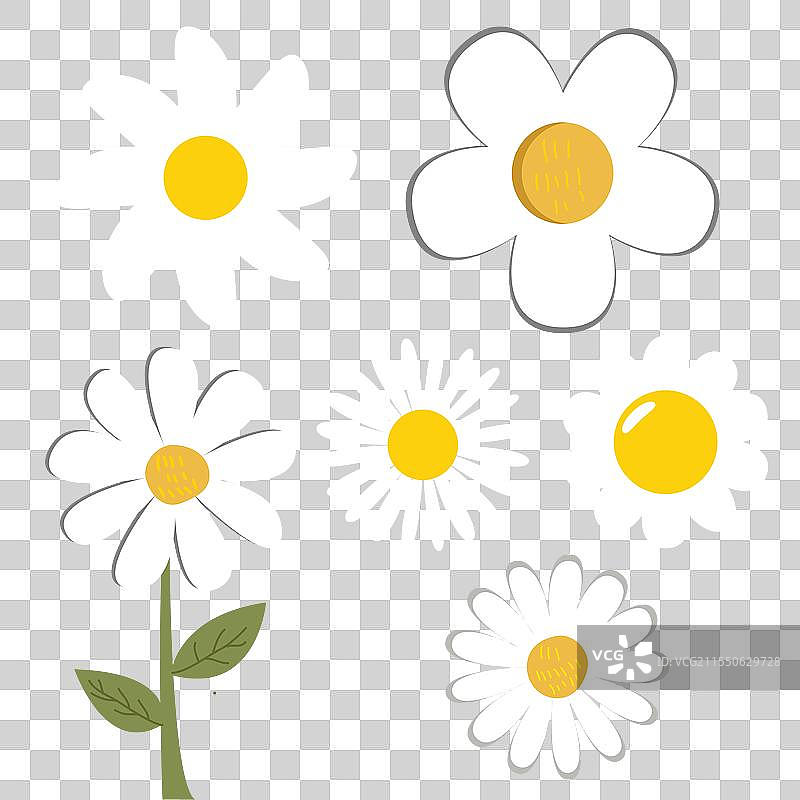 雏菊花朵剪贴画升华套件图片素材