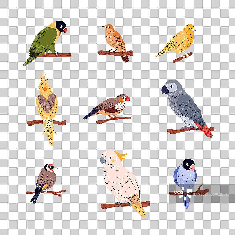 卡通家禽物种系列图片素材