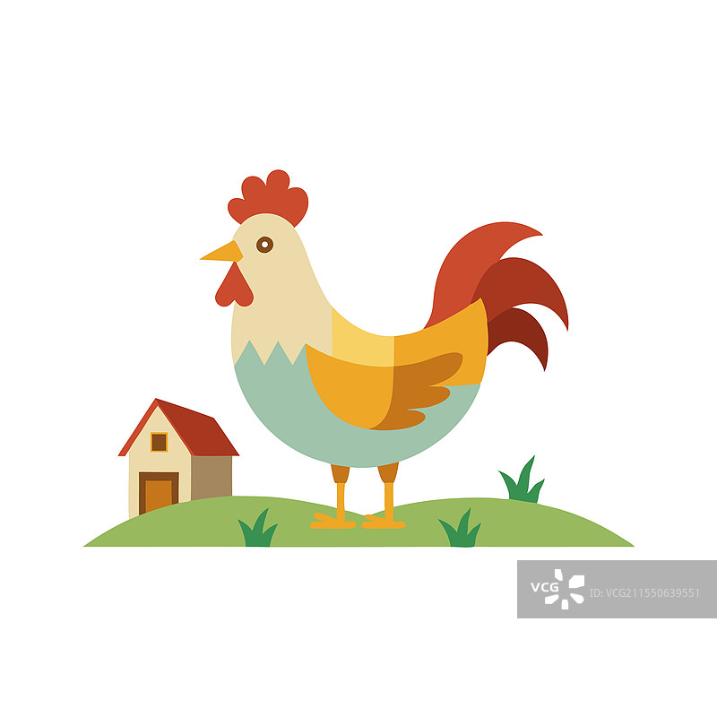 村庄里的鸡，侧面视图，孤立平面图图片素材
