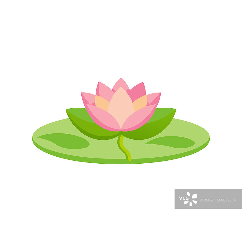 水 lily 插图，孤立在白色背景上图片素材