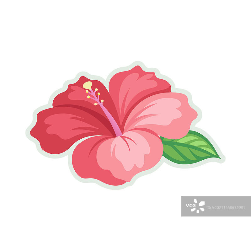 水彩花卉木槿花瓣纹理图片素材