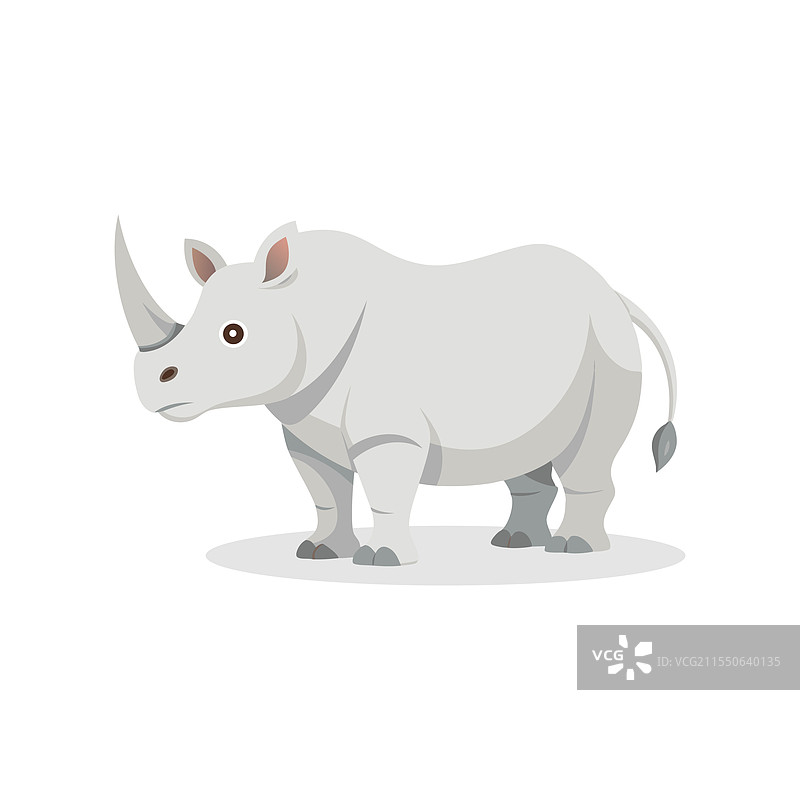 白犀牛动物在白色背景上孤立展示图片素材