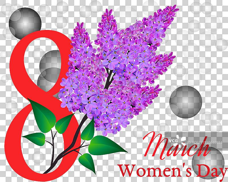 国际妇女节，3月8日，带有紫丁香枝条图片素材