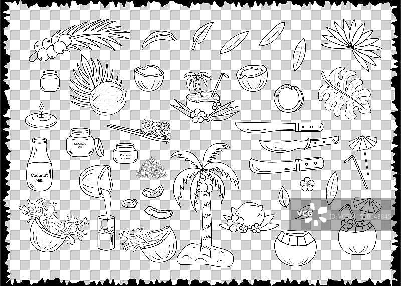 黑色线条椰子图标图片素材