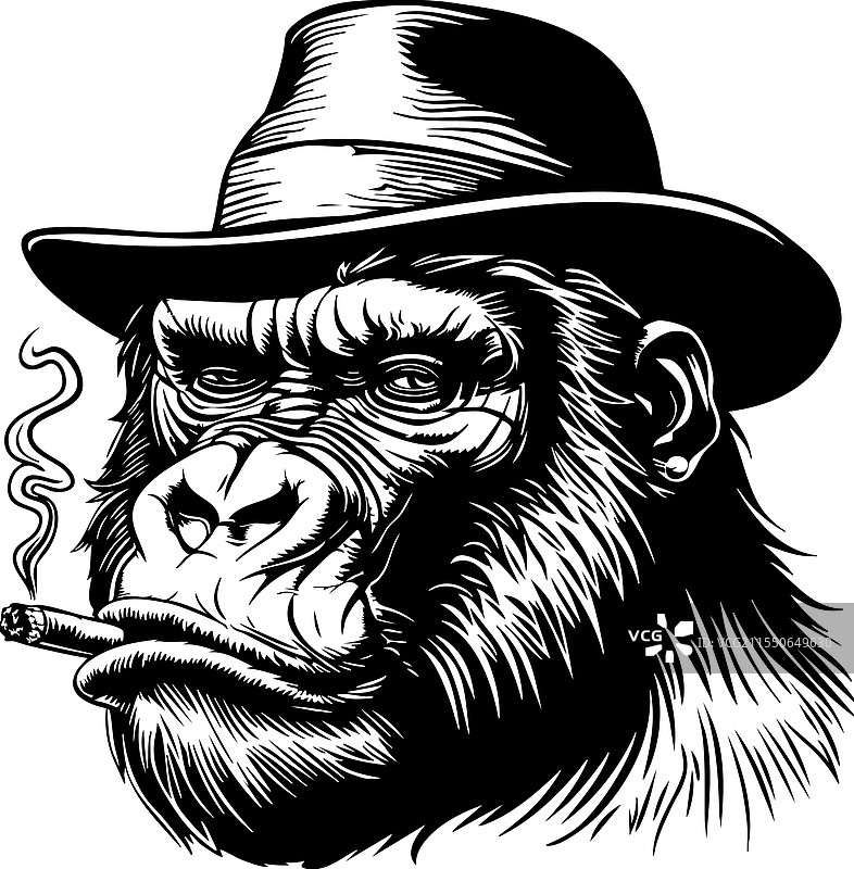戴着礼帽、抽着雪茄的酷猩猩图片素材