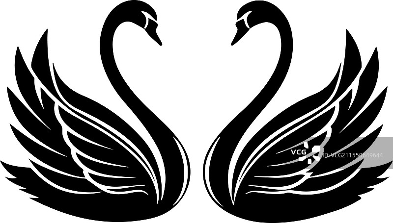 天鹅剪影设计图片素材