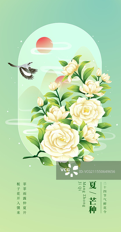 新中式二十四节气芒种和栀子花矢量插画海报图片素材