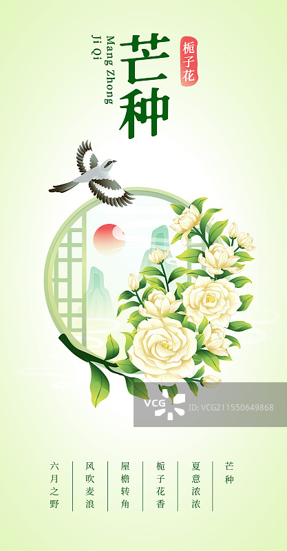 新中式二十四节气芒种和栀子花矢量插画海报图片素材