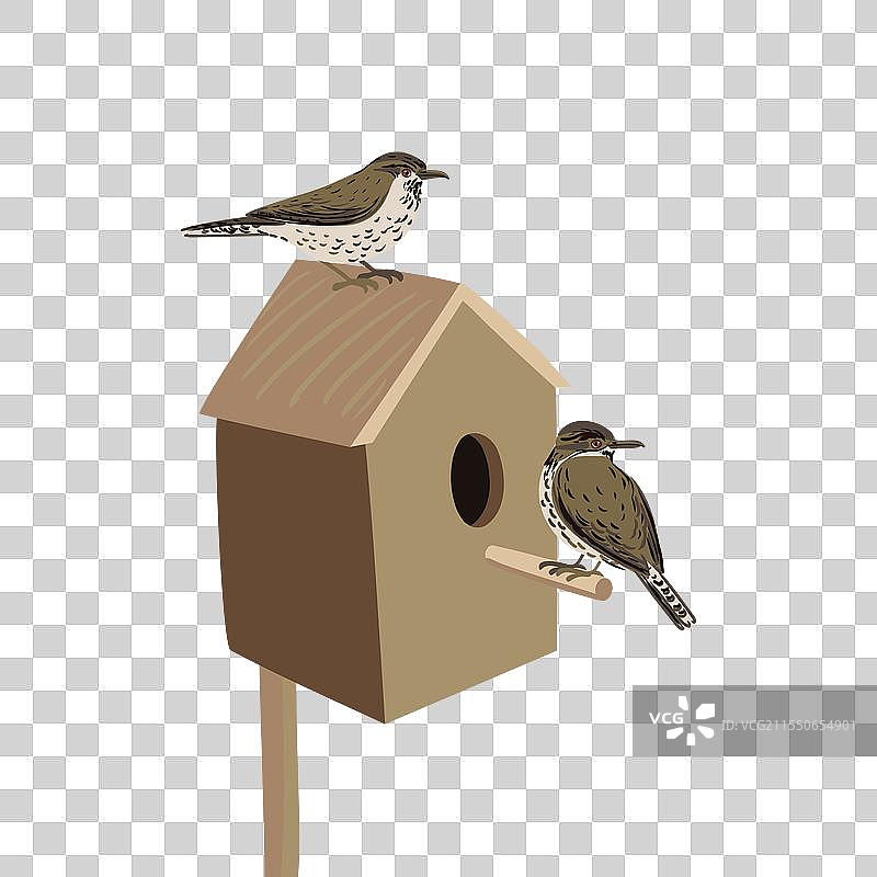 画鸟屋和鹪鹩鸟图片素材