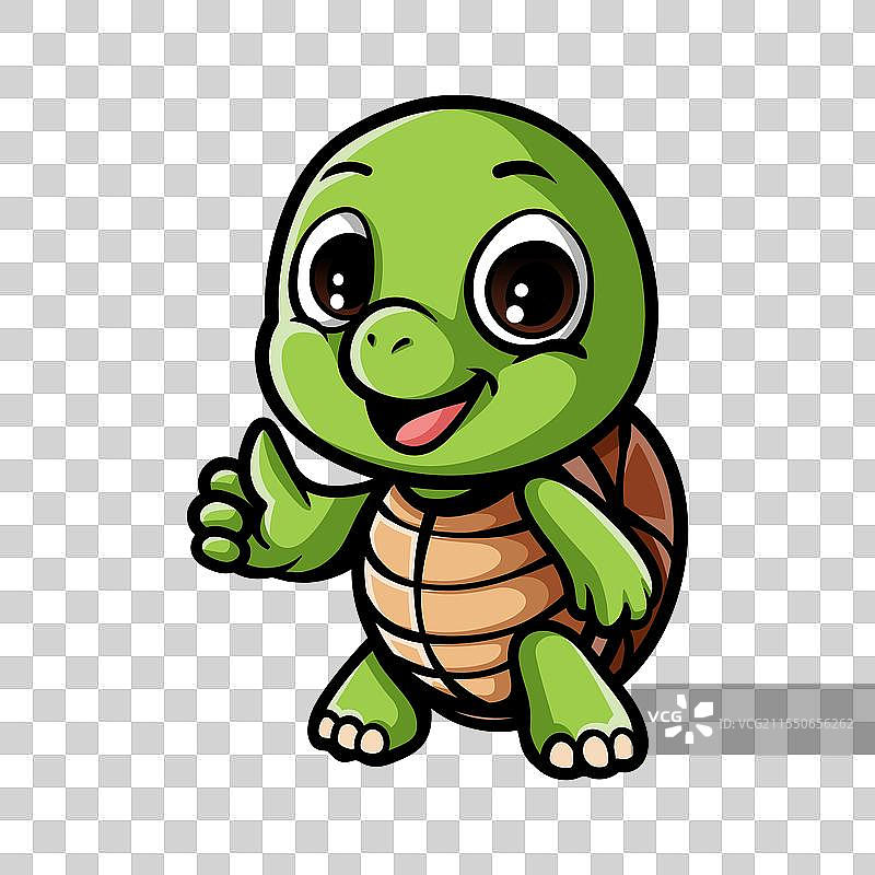 有趣的卡通乌龟角色独立绘图图片素材