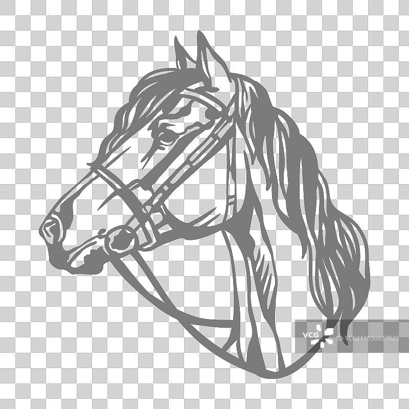 马的模板印章图片素材