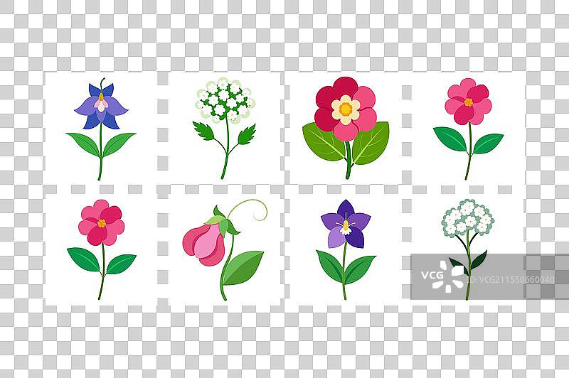 报春花、蓍草、飞燕草、甜豌豆花图标图片素材