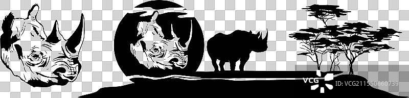 非洲草原上的犀牛图片素材