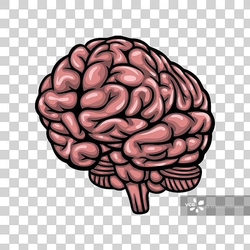 人脑艺术图片素材