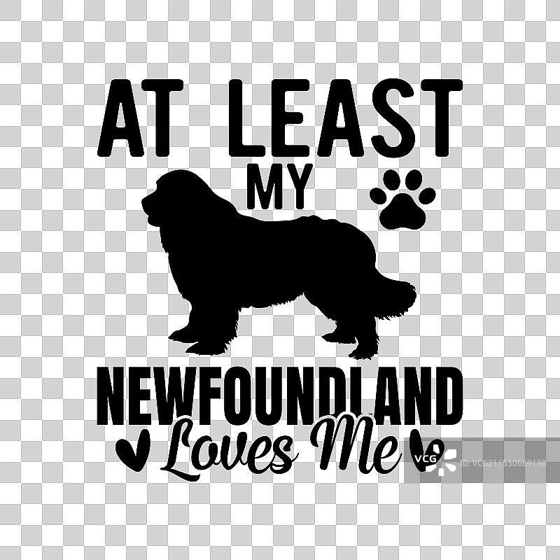 至少我的纽芬兰犬爱我图片素材