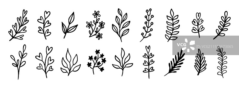 可爱的现代手绘叶子涂鸦图标集图片素材