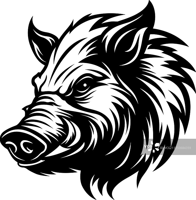 野猪的黑白照片图片素材