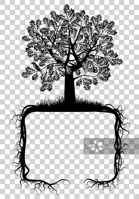 雕刻的橡树与根部框架图片素材