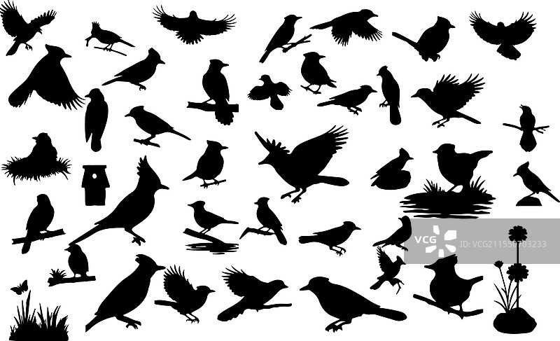 蓝松鸦剪影系列图片素材