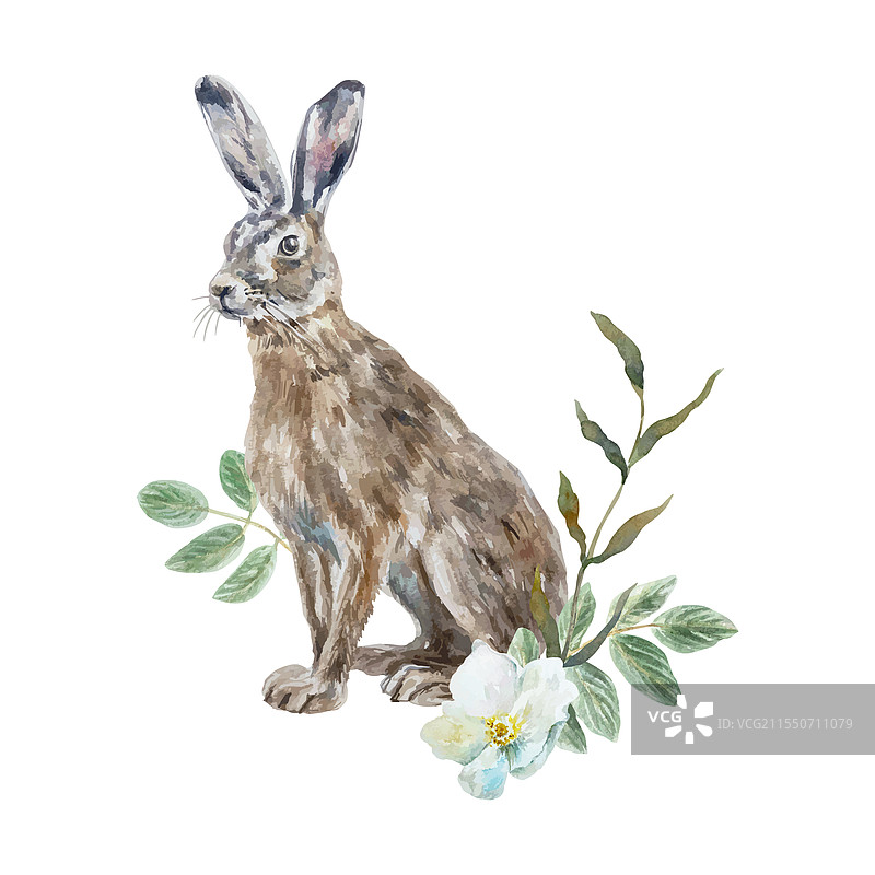 兔子坐在绿叶和白花旁边图片素材