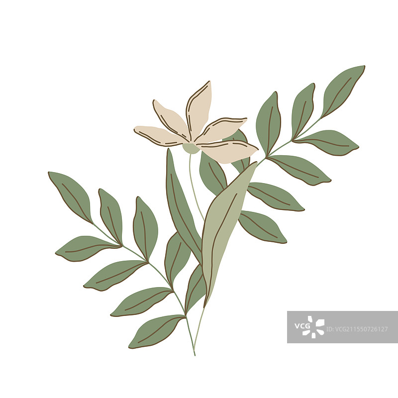 优雅的扁平风格植物图案图片素材