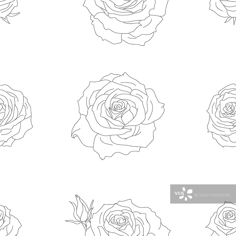 无缝黑白玫瑰花卉图案图片素材