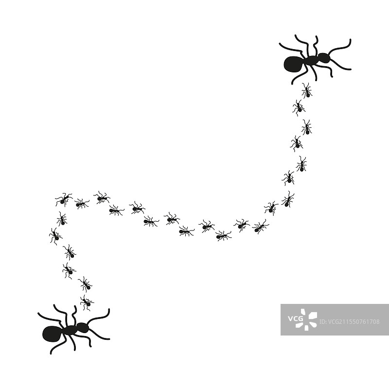 黑色蚂蚁行进的抽象图案设计图片素材