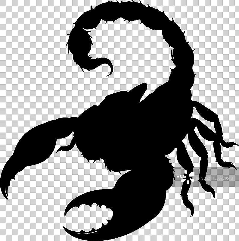 蝎子剪影艺术图片素材