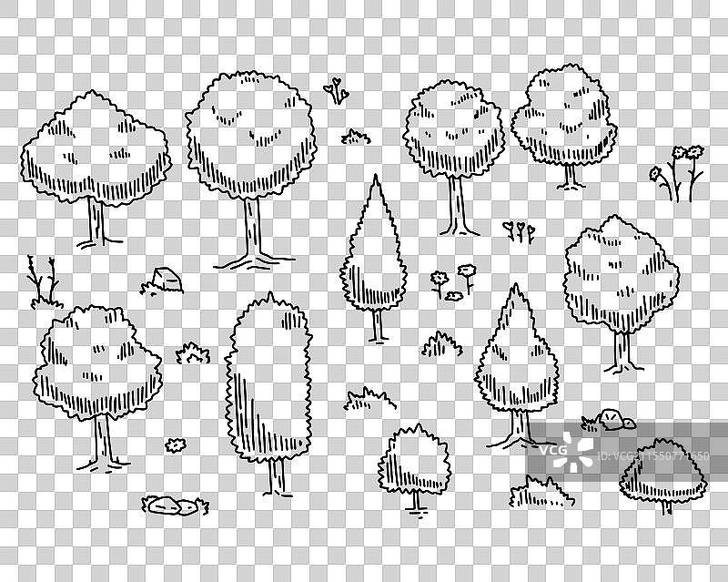 橡树轮廓涂鸦树木绘画套装图片素材