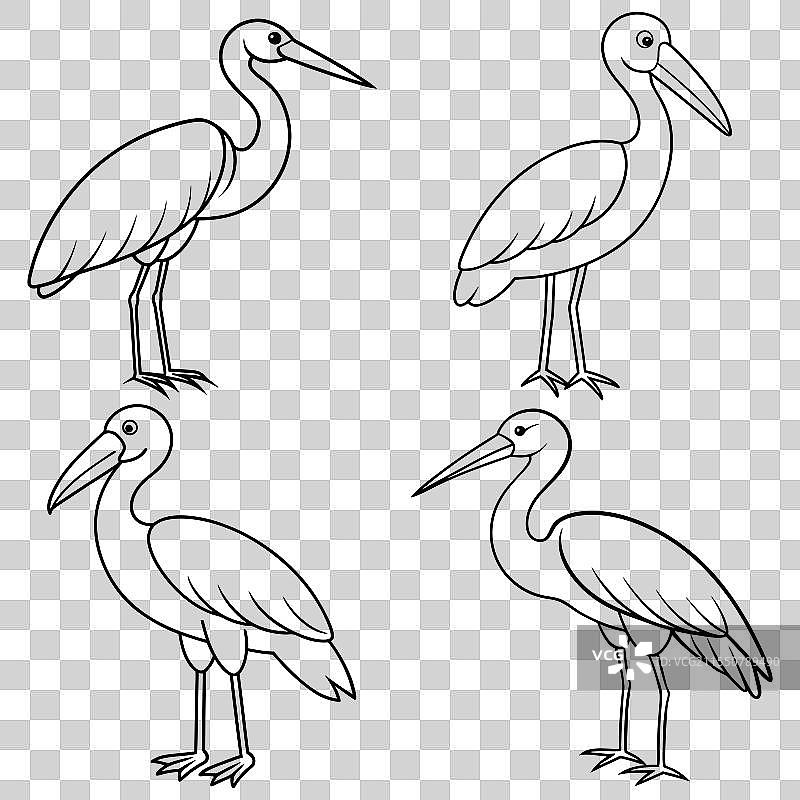 大鸨和鞋嘴鹳的线条艺术集合图片素材