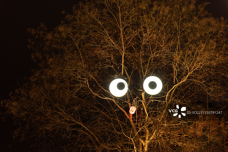 树上的拟人脸灯饰：夜间的眼睛与灯笼图片素材