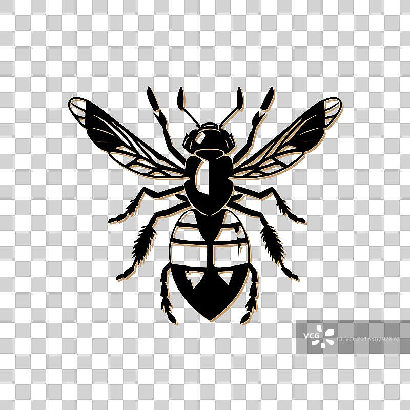 黄蜂昆虫剪影，自然昆虫概念图片素材