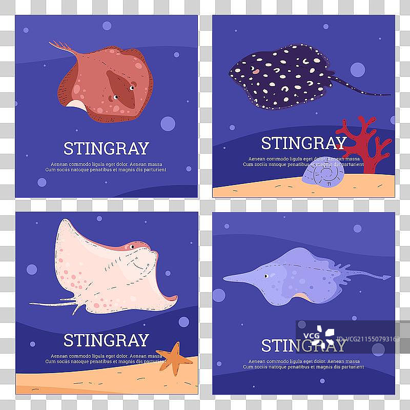 水下生物：水中有黄貂鱼的卡片图片素材