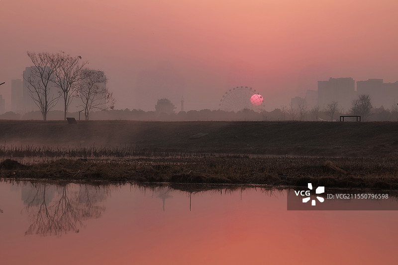 洋湖湿地公园·晨·粉色浪漫图片素材