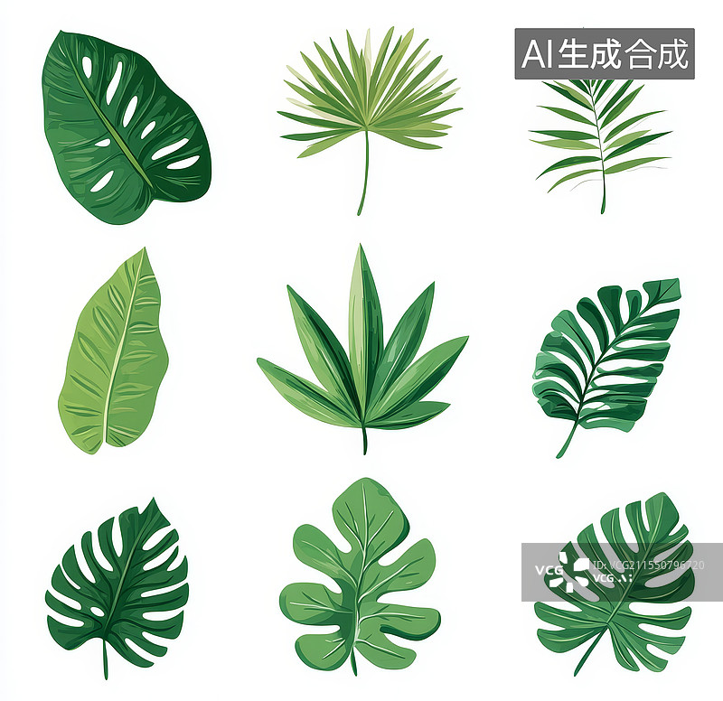 【AI数字艺术】在白色背景上孤立的绿叶图片素材
