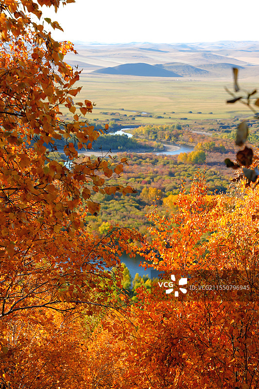 额尔古纳湿地图片素材