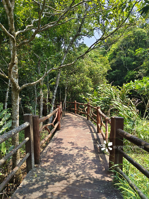 山间小道图片素材