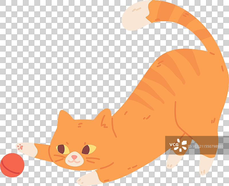 猫咪与球玩耍，搞笑的宠物色彩动物图片素材