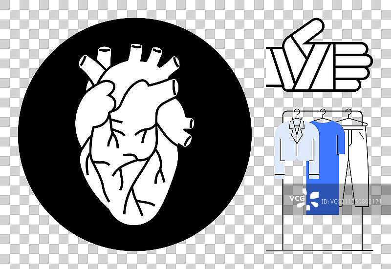 解剖学心脏与竖起大拇指的手势图片素材