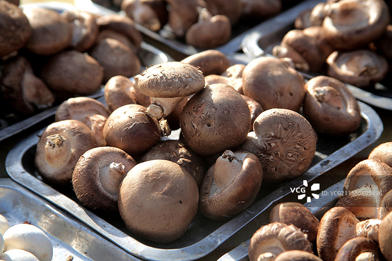 新鲜的蘑菇图片素材