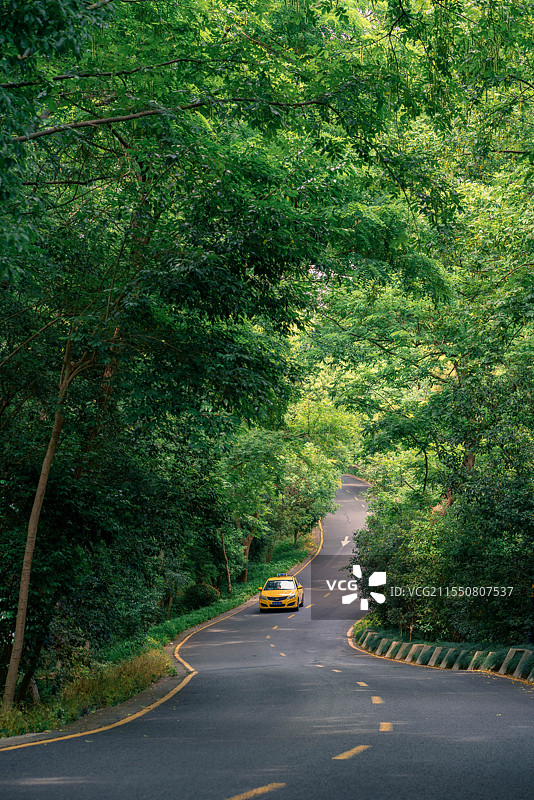 南京紫金山中林间道路一辆黄色出租车图片素材