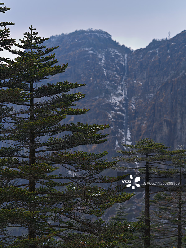 2月19日拍摄于云南昆明轿子山图片素材