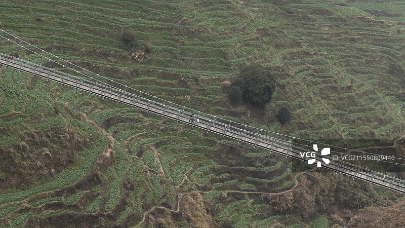 索桥横卧绿野之上，连接山的两端。脚下梯田层叠，自然与人工之美在此交融，满是宁静与悠然。图片素材
