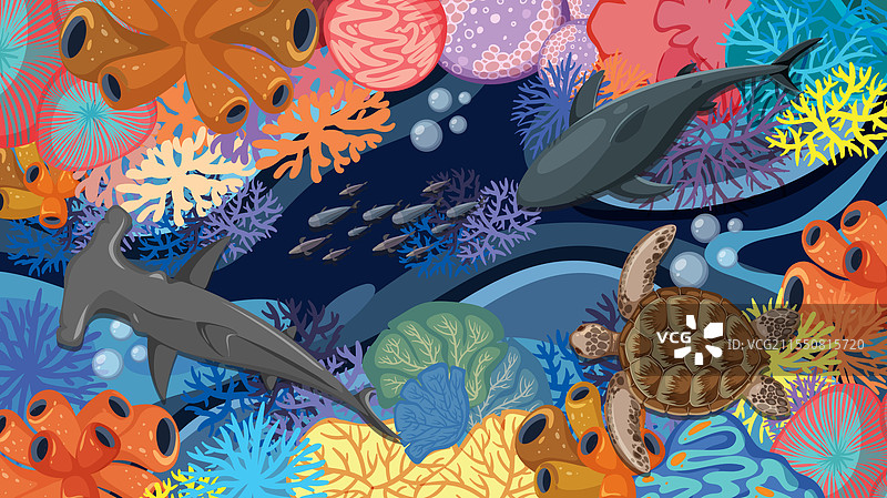 色彩斑斓的海洋生物展示海洋景观图片素材