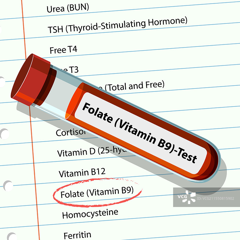 叶酸水平的血液检测图片素材
