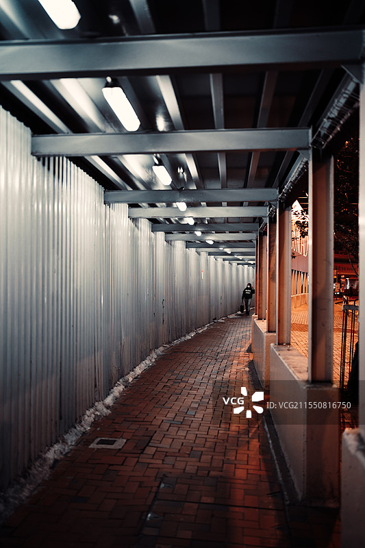 香港铜锣湾街道夜景图片素材