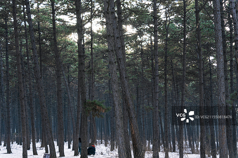 长春净月潭图片素材