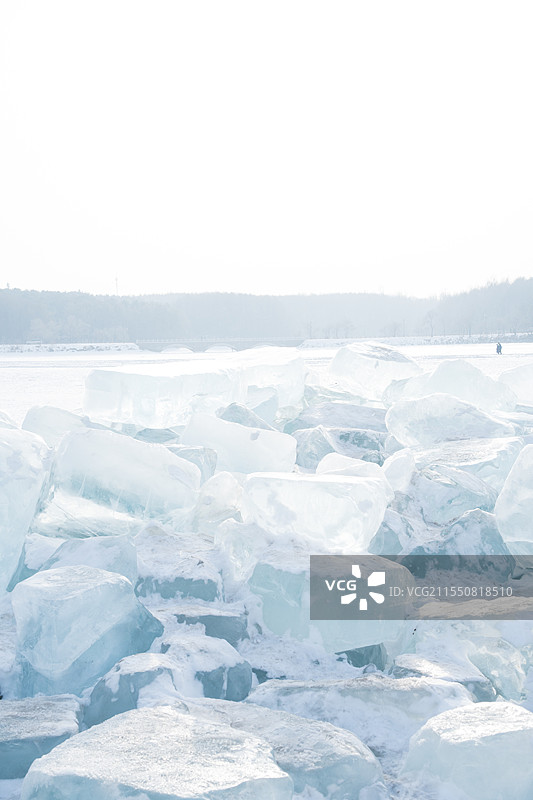 长春净月潭图片素材