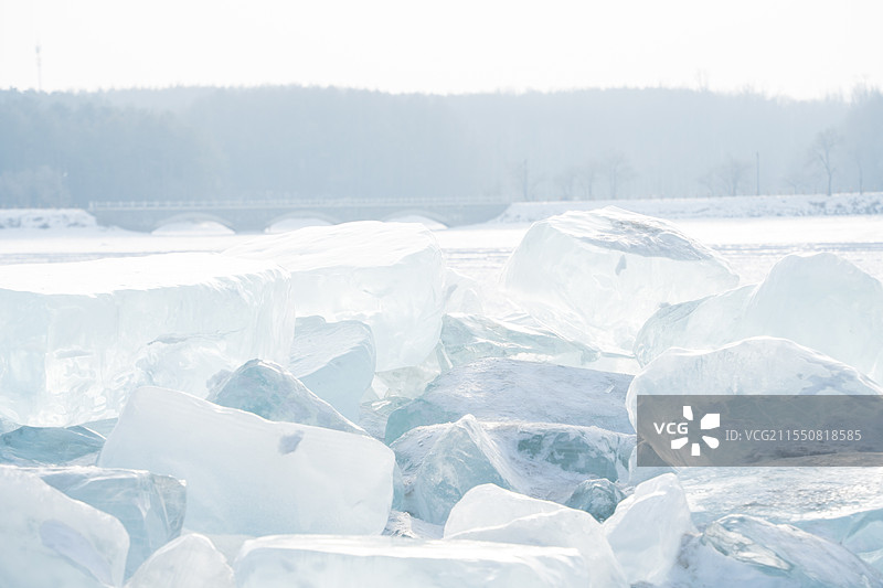 长春净月潭图片素材