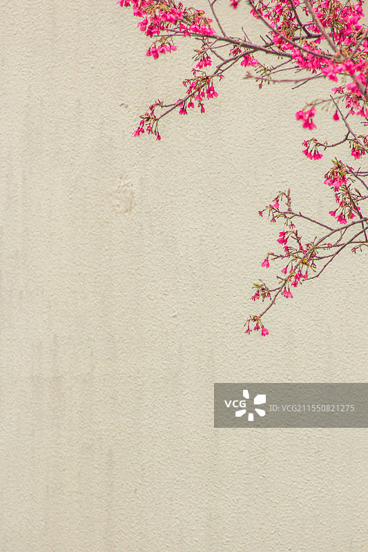 中式留白图片素材